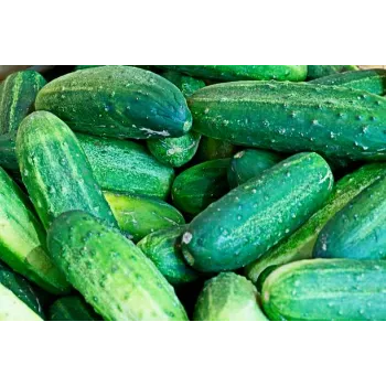 Cucumber  (15)-3789613-75589.webp
